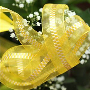 21mm Sheer Ribbon - Zipper Gold